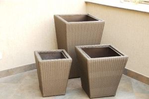 Riya Planters