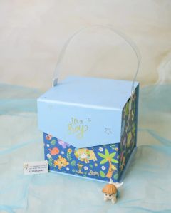 Baby Announcement Cardboard Box with Magnet Flap