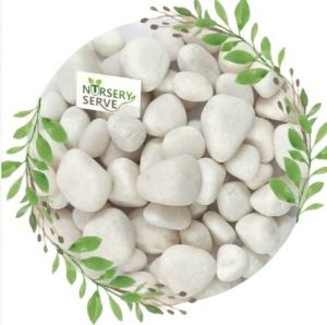 Decor Pebbles White Big Polished Pebble