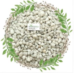 Decor Pebbles White Small Polished Pebble