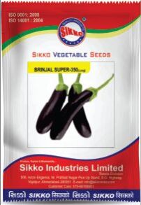 Super 350 Long Brinjal Seeds