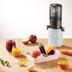 Hurom Slow Juicer