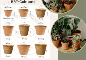 coir seeding pots