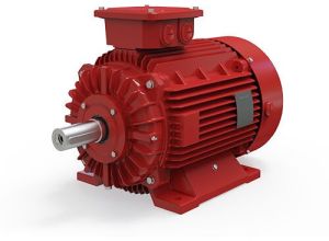 45 KW,60 HP, 415 V,2 Pole/2800rpm FIRE FIGHTING MOTORS