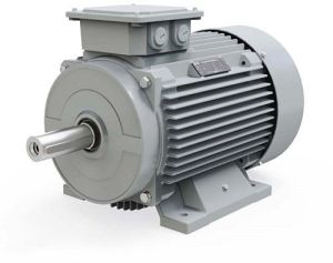 IE2 Motor 4 Pole/1500rpm, DOI, FOOT B3 Mounted, 63F, 3 Phase, TEFC Cast Iron Induction Motor