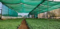 Agro Shade Nets