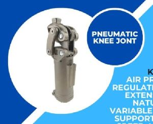 pneumatic knee joint