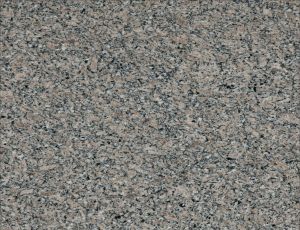 chikoo pearl granite