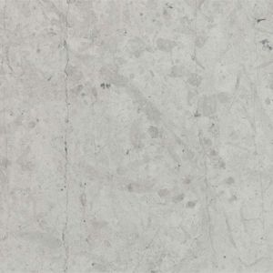 Corol Grey Italian Marble