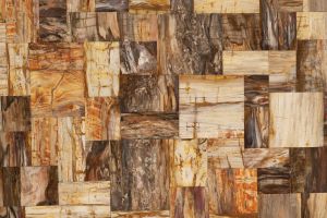 Petrified Wood Retro Buttjoint Semi Precious Stone Slabs