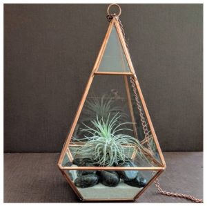 Antique Handcrafted Glass Terrariums For Decor