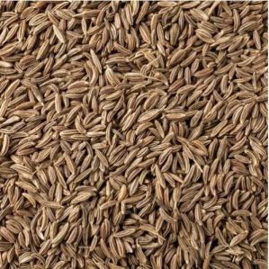 Caraway Seeds