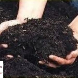 Organic Bio Compost