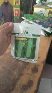 Welcome F1 Shantala Cucumber Seeds