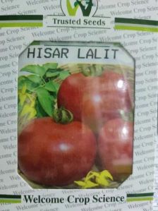 Welcome Hisar Lalit Hybrid Tomato Seeds