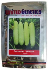 United Genetics Cucumber Shivalik F1 Hybrid Seeds