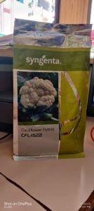 Syngenta CFL 1522 Hybrid Cauliflower Seeds