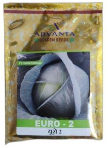 Advanta EURO 2 Hybrid Cabbage Seeds