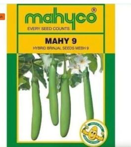Mahyco Brinjal MAHY 9 Seeds