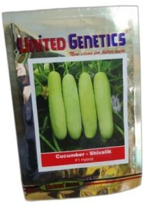 United Genetics Cucumber Shivalik F1 Hybrid Seeds