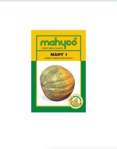 Mahyco MAHY 1 Hybrid Pumpkin Seeds