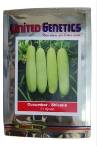 United Genetics Cucumber Shivalik F1 Hybrid Seeds