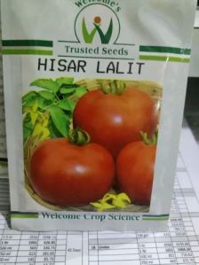 Welcome Hisar Lalit Hybrid Tomato Seeds