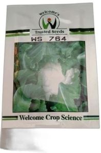 Welcome WS 764 Cauliflower Seeds