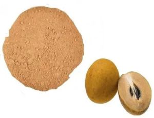 Dehydrated Chikoo Powder