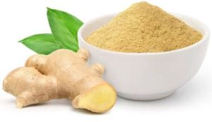 Dehydrated Ginger Powder