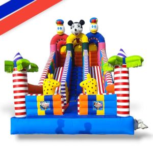 3 Naali Mickey Mouse Jumping Jhula