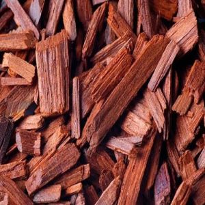 Red sandalwood