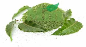 Marwadi Mehandi Neem Leaves Powder