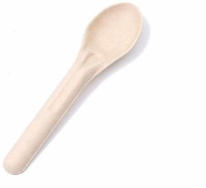 Sugarcane Bagasse Spoon