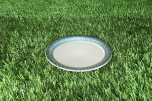 Melamine Blue Printed Dinner Plate
