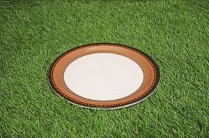 Melamine Antique Designer Printed Plate Set