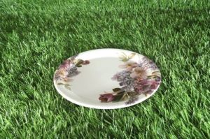 Melamine Multicolor Floral Printed Plate Set