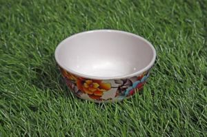 Melamine Multicolor Floral Printed Plate Set