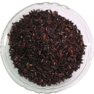 Organic black rice