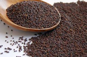 Mustard Seeds