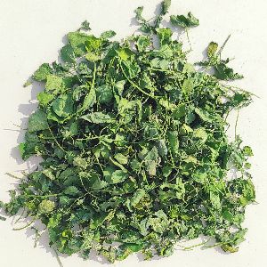 Kasuri Methi