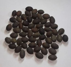 Natural Black Lotus Seeds