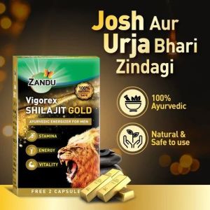 Zandu Vigorex Shilajit Gold Capsules