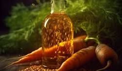 Carrot Seed Oil