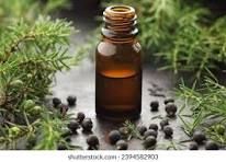 Juniper Berry Oil