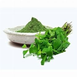 mint leaf powder