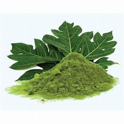 Papaya Leaf Powder