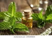 Peppermint Oil