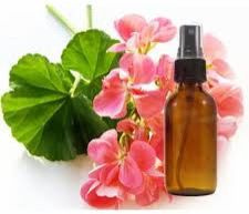 Rose Geranium Hydrosol