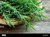 Rosemary Leaf